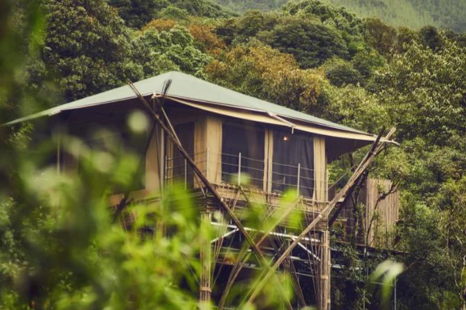 暑期亲子带娃,康藤高黎贡野奢帐篷考虑一下?7