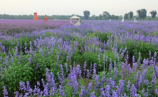 暑假去北京游玩，这几个景点可打卡2