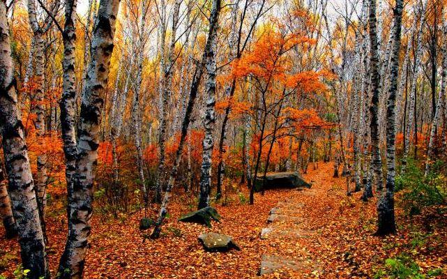 暑假去北京游玩，这几个景点可打卡4