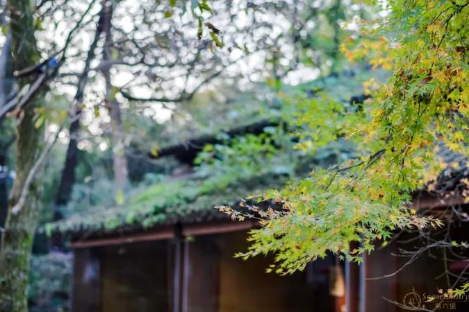 暑假去杭州西湖，都有什么酒店可以推荐？6