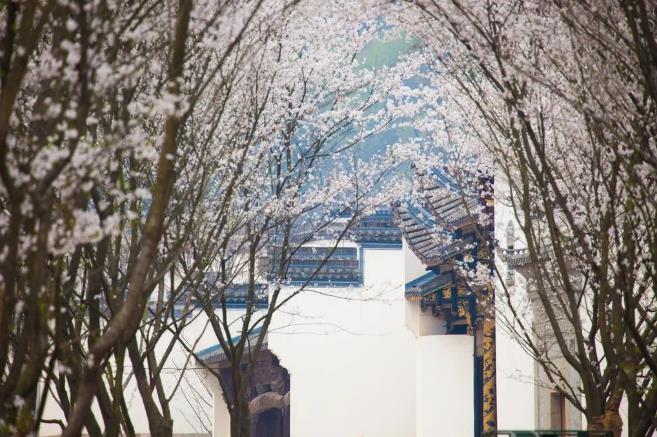 江浙沪周边的安麓酒店都有哪几家？9