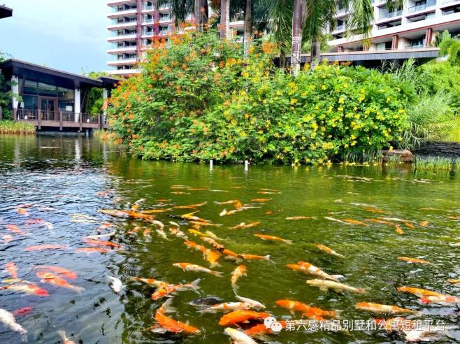 这个暑期带你走进三亚那些奢华酒店25