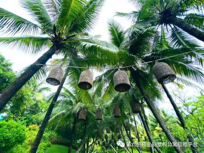 这个暑期带你走进三亚那些奢华酒店32