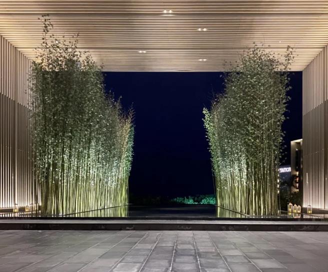 暑假带娃去三亚，都有哪些酒店适合入住？14