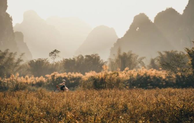 疫情下的张家界如何安排暑期自由行?3