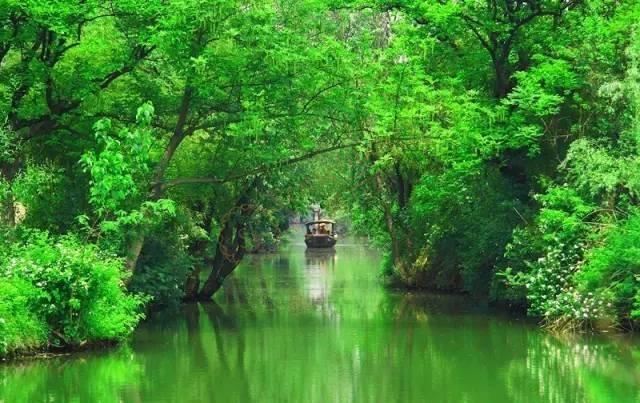 风景如画的杭州都有哪些暑期攻略可以分享？3