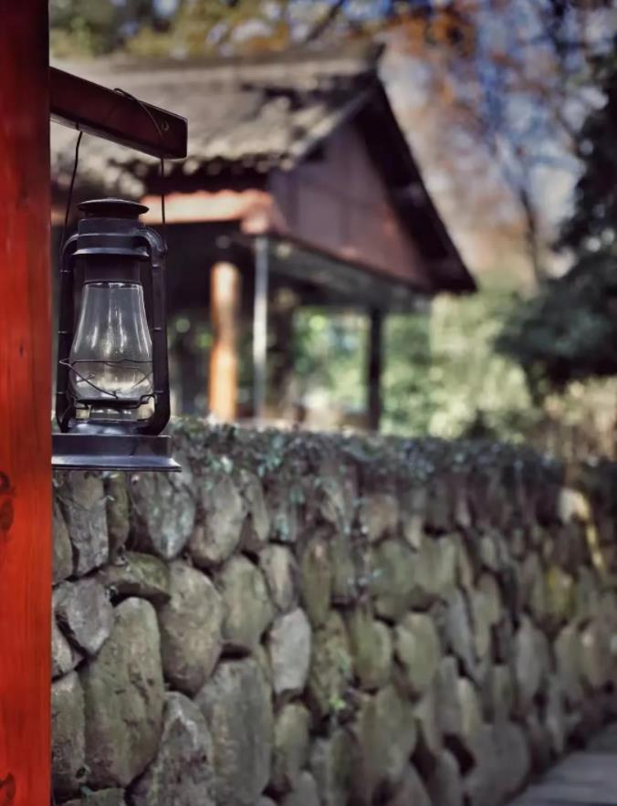 罗莱夏朵·杭州紫萱度假村 | 速度 get 热巴同款7