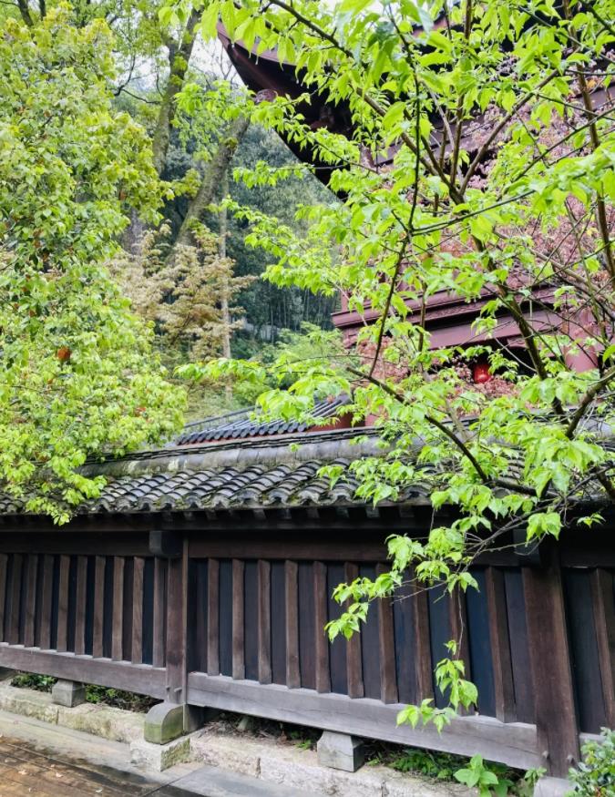 罗莱夏朵·杭州紫萱度假村 | 速度 get 热巴同款12