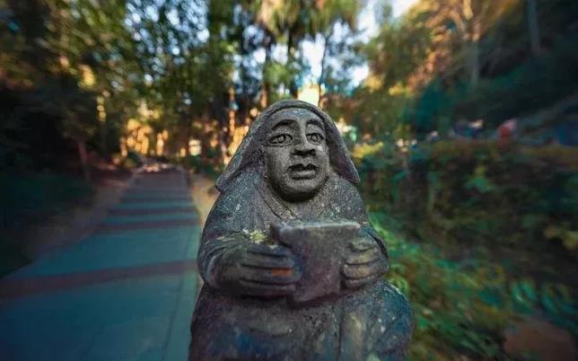 青城山六善 | 有山有水有熊猫的人间仙境3