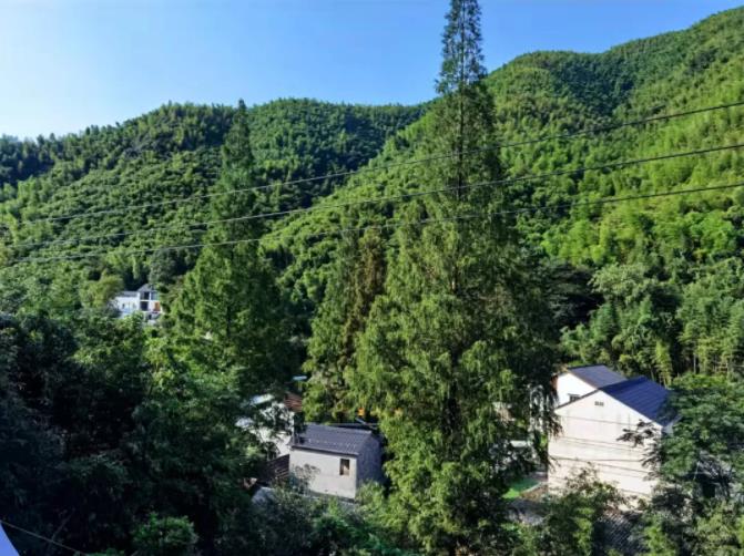 莫干山大乐之野，山谷间的静谧村落1