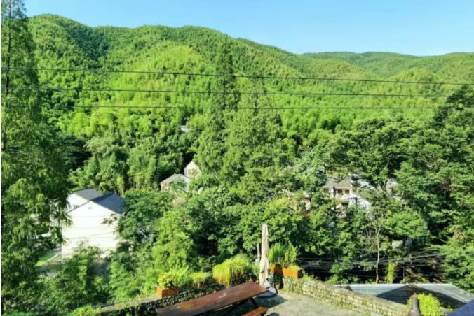 莫干山大乐之野，山谷间的静谧村落3