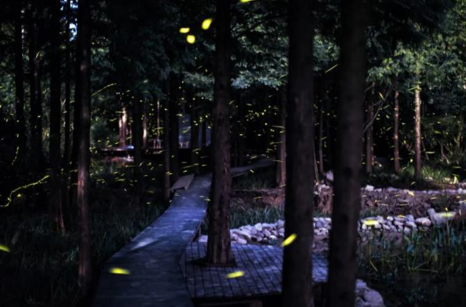 私藏于莫干山竹林山野中的民宿6