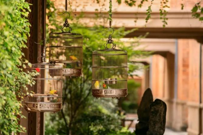 上海嘉佩乐:都市度假村的理想模样2