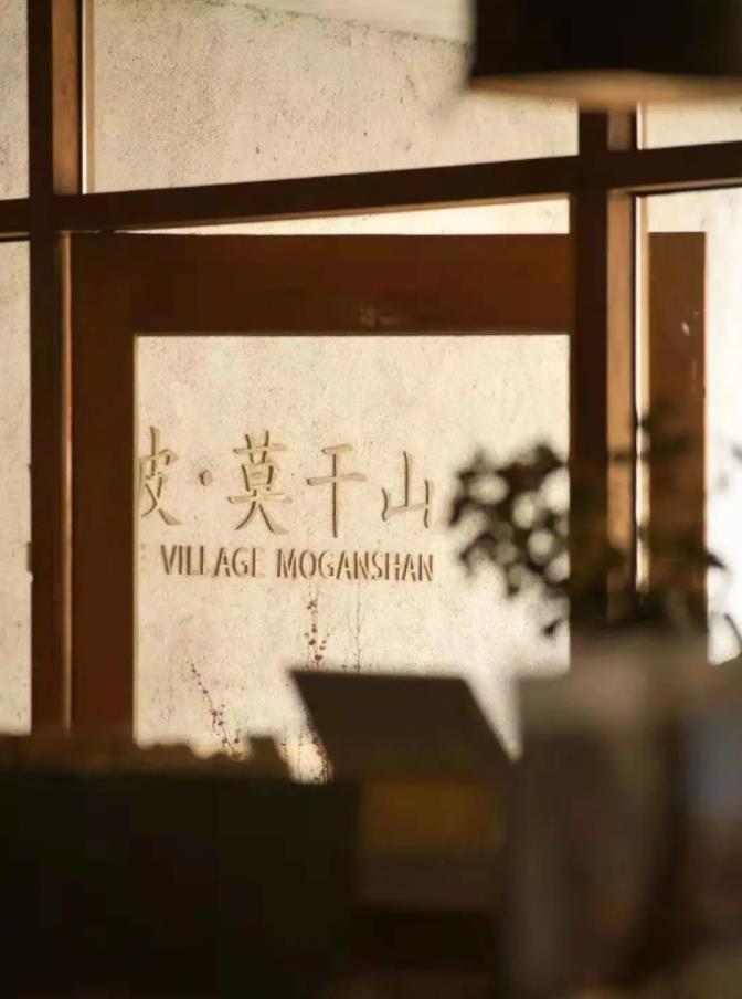 西坡,隐于莫干山竹林深处的绿野仙踪2