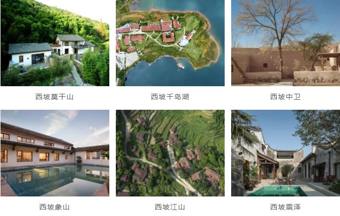 西坡,隐于莫干山竹林深处的绿野仙踪3