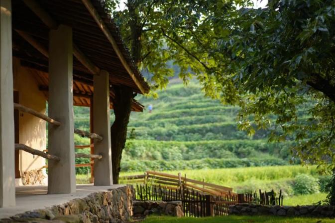 西坡,隐于莫干山竹林深处的绿野仙踪5