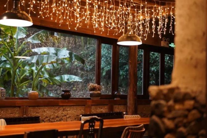 西坡,隐于莫干山竹林深处的绿野仙踪9