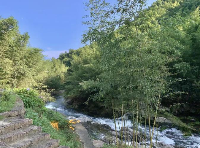 湖州长兴Anadu庄园，茶山深处的野奢度假2