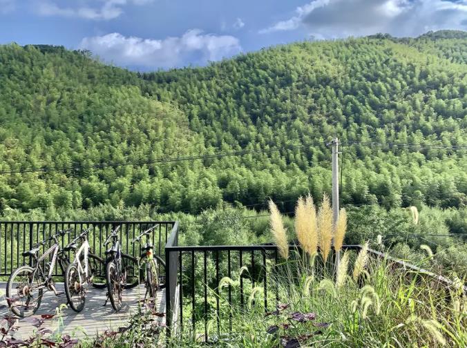 湖州长兴Anadu庄园，茶山深处的野奢度假3