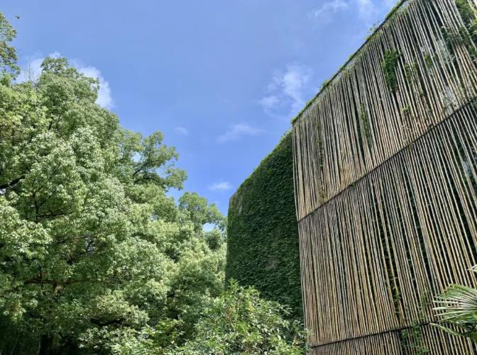 湖州长兴Anadu庄园，茶山深处的野奢度假13