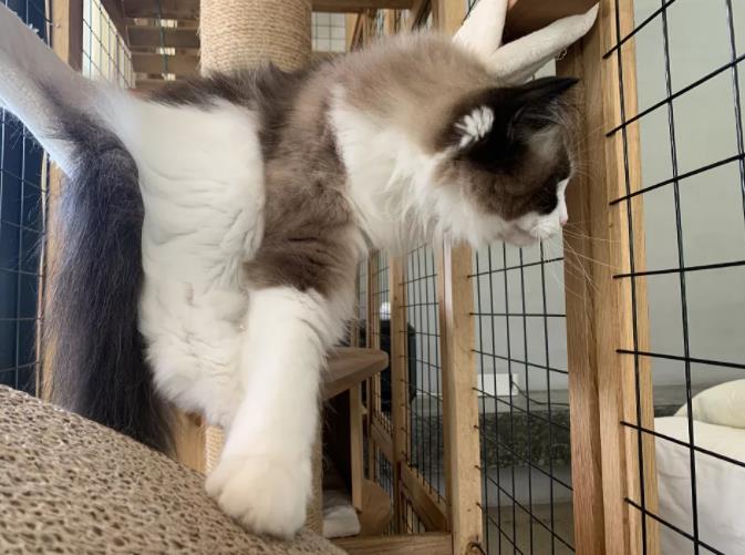 湖州长兴Anadu庄园，茶山深处的野奢度假15