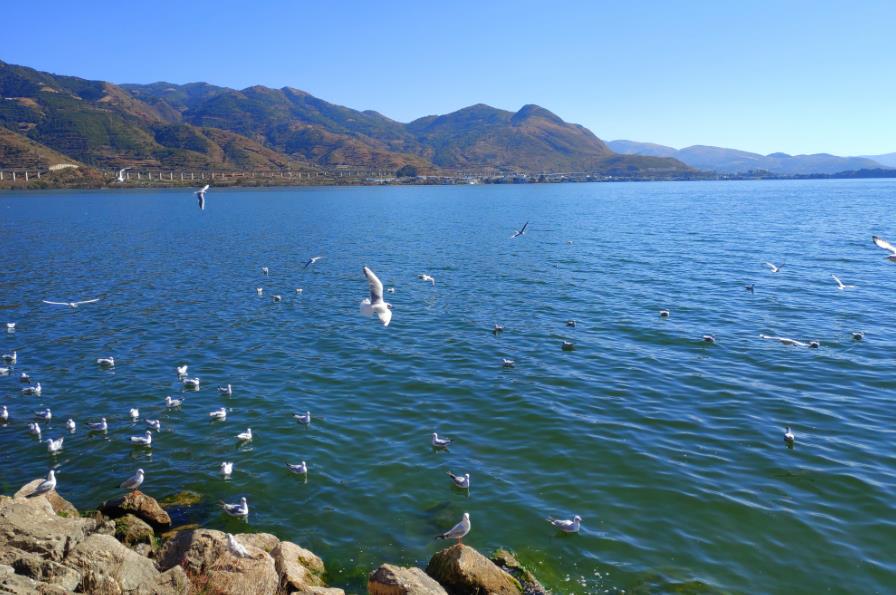 第一次去大理，都有哪些事情是一定要做的2