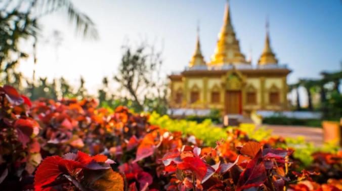 西双版纳融创万达文华，享受雨林天堂的漂浮下午茶1