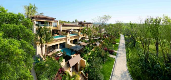 西双版纳融创万达文华，享受雨林天堂的漂浮下午茶3