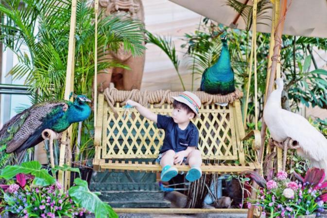 西双版纳融创万达文华，享受雨林天堂的漂浮下午茶18