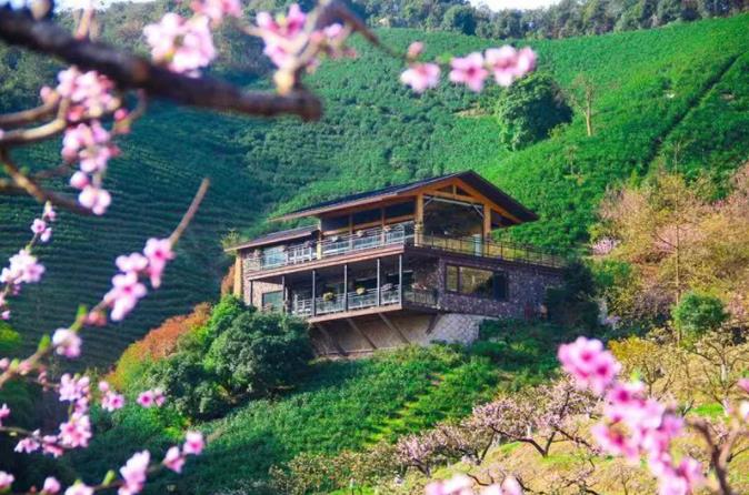 吃住玩乐皆在莫干山郡安里1