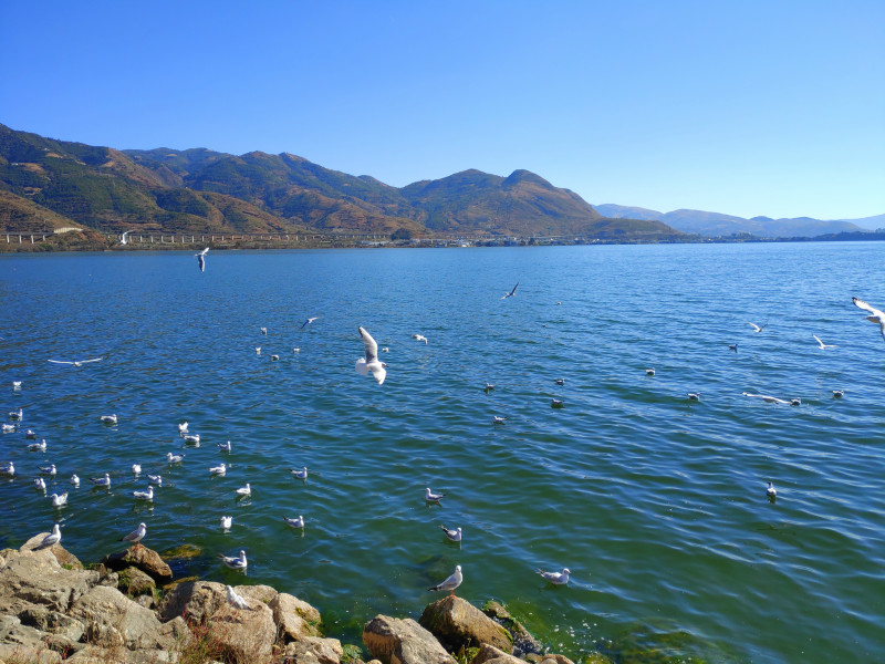 去大理游玩前,这些事情还是需要注意一下~5