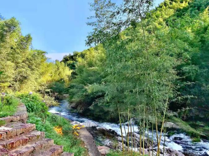 莫干山悠然九希,感受不加修饰的乡野之味4