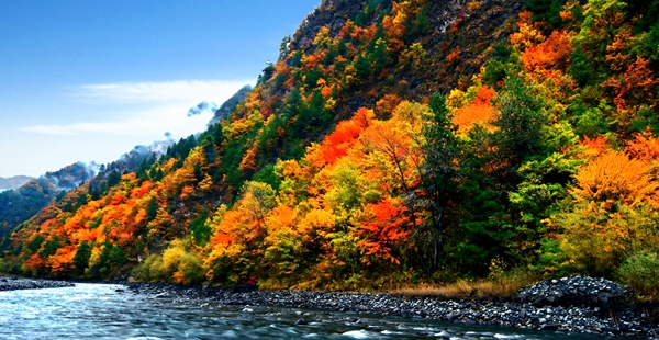 国庆黄金周去四川游玩，都有哪些好去处？5