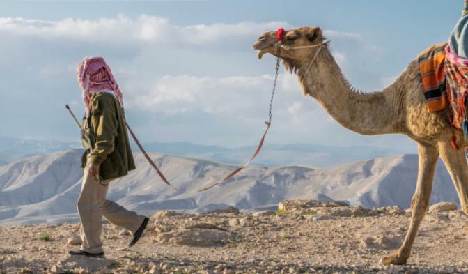 以色列撒哈鲁特六善,绽放在苍凉神秘之地1
