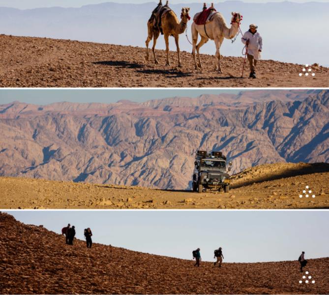 以色列撒哈鲁特六善,绽放在苍凉神秘之地9