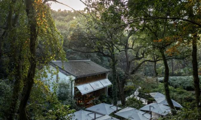 杭州六和Vallie酒店，住进城市里的世外桃源1