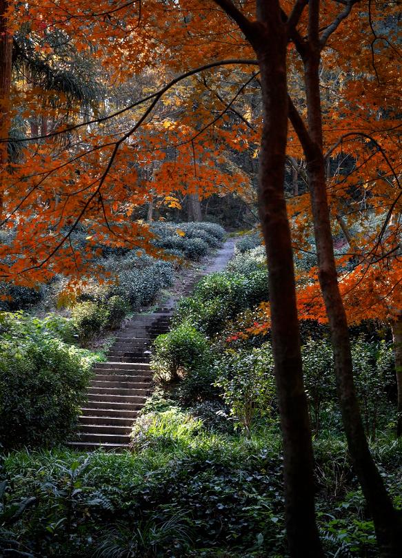 杭州六和Vallie酒店，住进城市里的世外桃源2