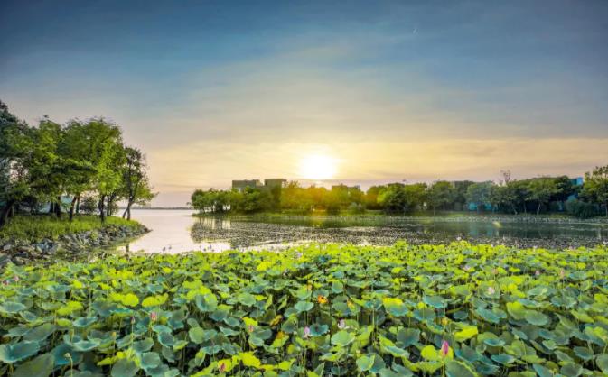 苏州音昱水中天 | 初秋，来一场乐享家庭时光之旅1