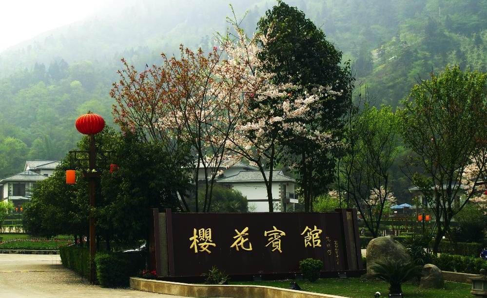 花水湾温泉酒店都有哪些？有什么推荐？3