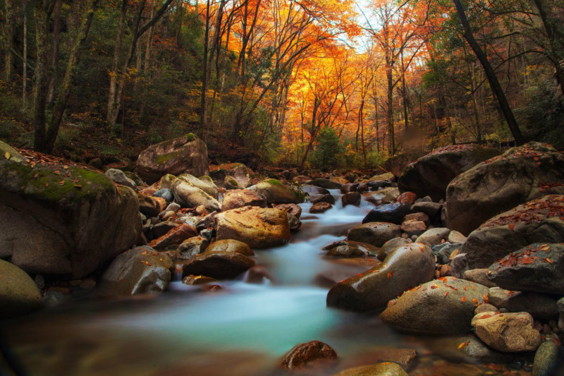 四川都有哪些赏枫的好去处?3
