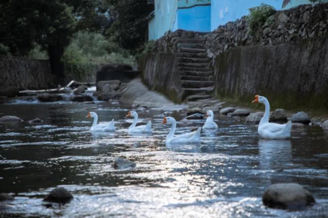 这一次带你去逛大乐（叻），不在越南，在定海8