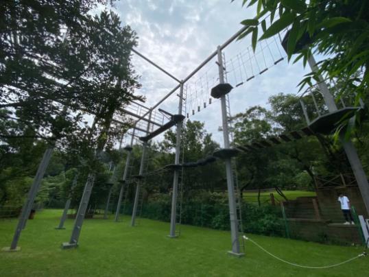 这一次带你去逛大乐（叻），不在越南，在定海10