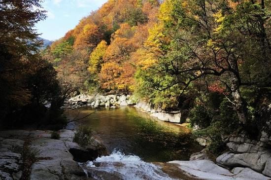 去四川光雾山看红枫怎么样?值得吗?1