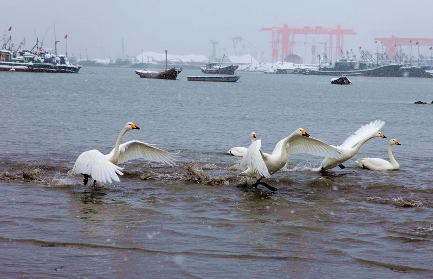 国庆去威海游玩，有哪几个景点值得去？4