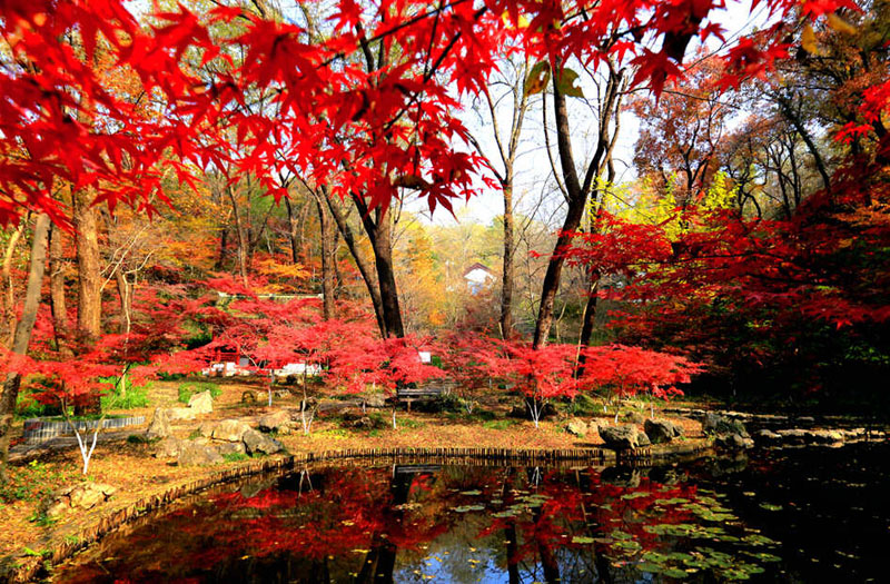 十一去华东旅游有哪些注意事项?3