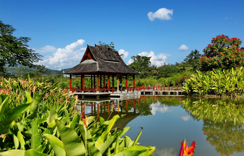 十一去西双版纳旅游,安排几天比较合适?1