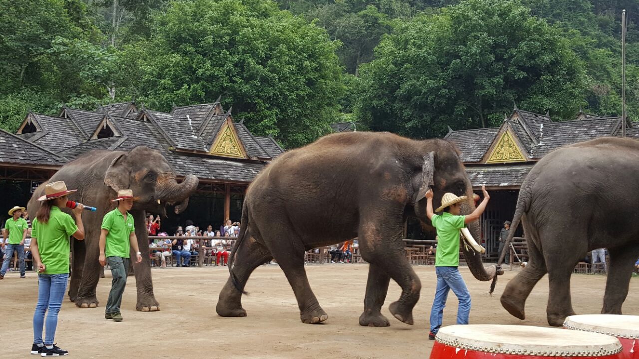十一去西双版纳旅游,安排几天比较合适?4