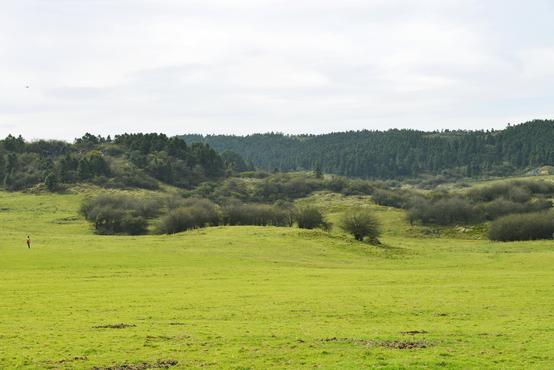 国庆仙女山国家森林公园都有哪些好玩的景点?2