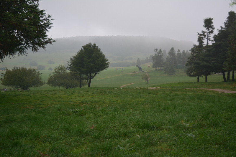 国庆仙女山国家森林公园都有哪些好玩的景点?3
