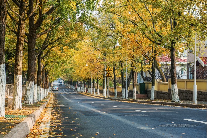 国庆去青岛旅游都有哪些景点值得打卡?5